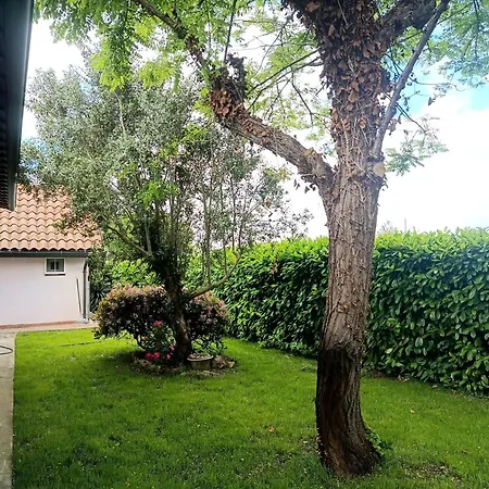 Il Quercetino Di Momo Bed & Breakfast
